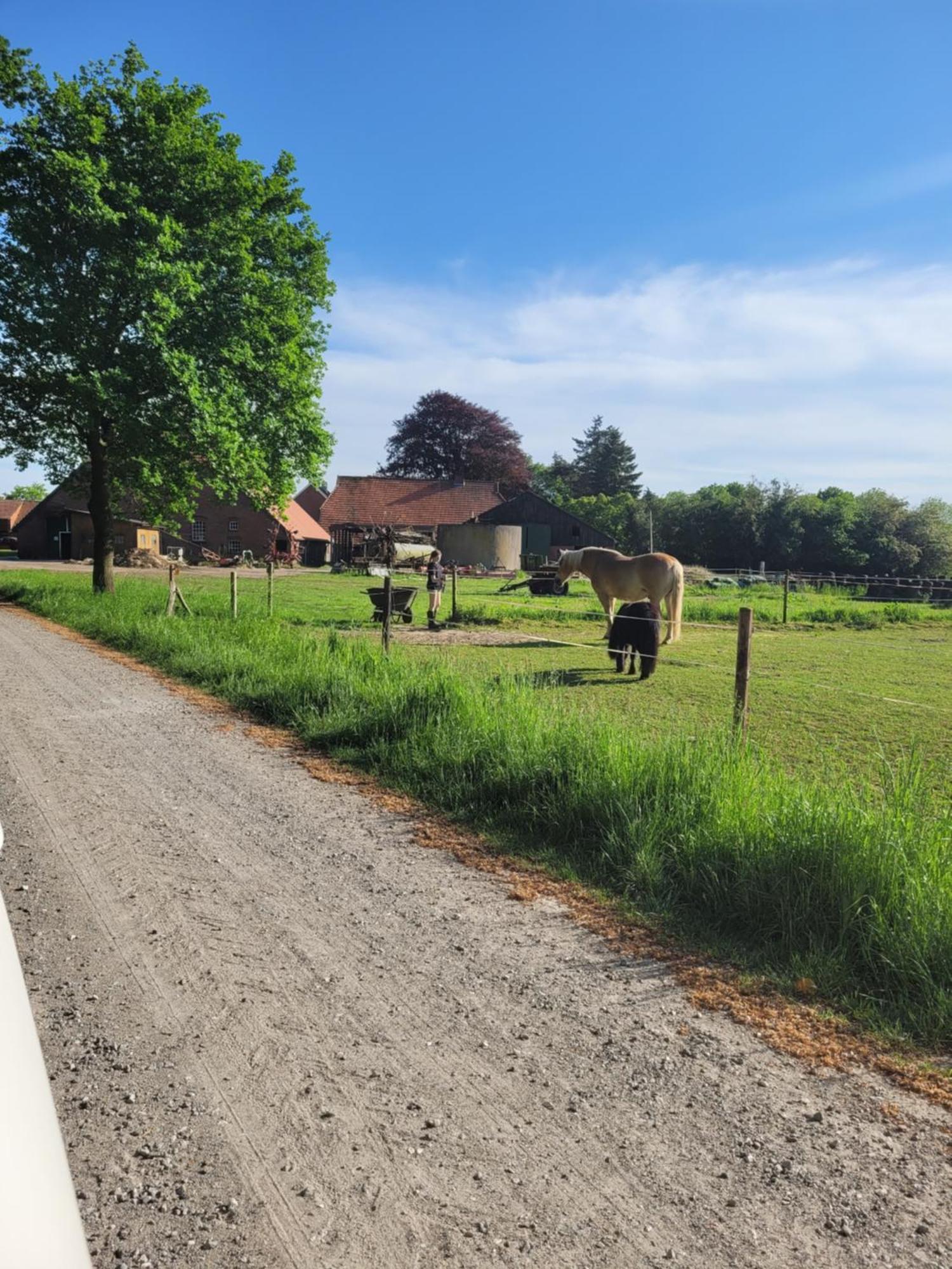 Reiterhof Jaegersburg Ferienwohnung ファーレル エクステリア 写真